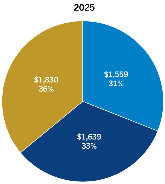 A Growing Asset Class_2025